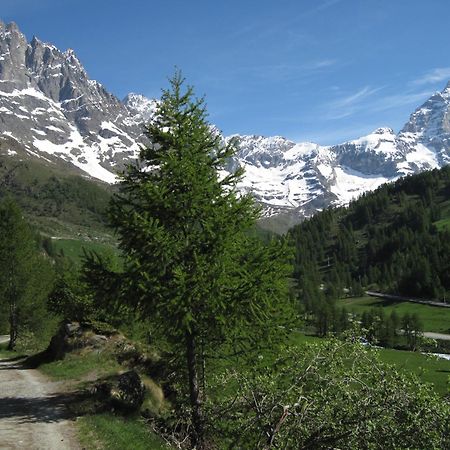 Hotel Meuble Meridiana Valtournenche Exteriör bild