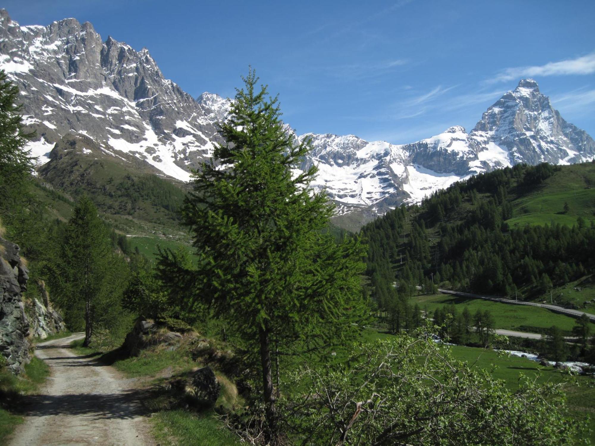 Hotel Meuble Meridiana Valtournenche Exteriör bild